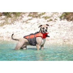 Frisco Ripstop Dog Life Jacket & Frisco Foam Rubber Floating Fetch Ball No Squeak Dog Toy 14 Frisco Ripstop Dog Life Jacket & Frisco Foam Rubber Floating Fetch Ball No Squeak Dog Toy -Blue Buffalo Shop 303546 PT4. AC SS1800 V1623046643