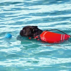 Frisco Ripstop Dog Life Jacket & Frisco Foam Rubber Floating Fetch Ball No Squeak Dog Toy 17 Frisco Ripstop Dog Life Jacket & Frisco Foam Rubber Floating Fetch Ball No Squeak Dog Toy -Blue Buffalo Shop 303546 PT7. AC SS1800 V1623068257