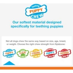 Nylabone Puppy Starter Kit With Chew Toys, Teething Kit & Chew Treat -Blue Buffalo Shop 304155 PT2. AC SS1800 V1693418695