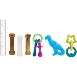 Nylabone Puppy Starter Kit With Chew Toys, Teething Kit & Chew Treat -Blue Buffalo Shop 304155 PT6. AC SS1800 V1693419176