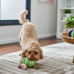 Frisco Easter Bunny Egg Plush Squeaky Dog Toy 10 Frisco Easter Bunny Egg Plush Squeaky Dog Toy -Blue Buffalo Shop 304960 PT4. AC SS1800 V1702500564