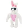 Frisco Easter Bunny Muscle Plush Squeaky Dog Toy -Blue Buffalo Shop 304976 MAIN. AC SS1800 V1642441114