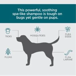 TevraPet Activate II Flea & Tick Dog Shampoo, 12-oz Bottle 11 TevraPet Activate II Flea & Tick Dog Shampoo, 12-oz Bottle -Blue Buffalo Shop 306649 PT2. AC SS1800 V1623364351