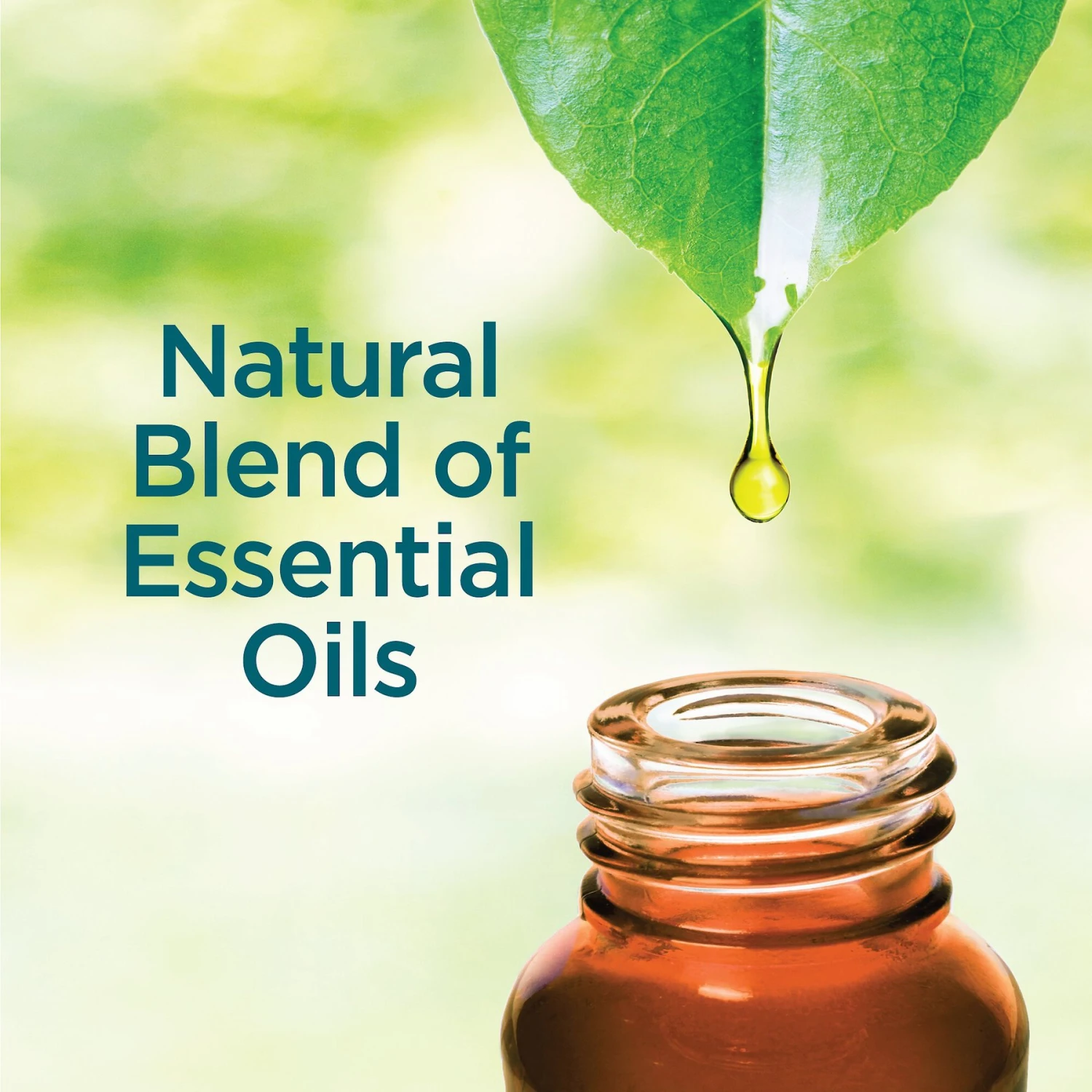 TevraPet Activate II Flea & Tick Dog Shampoo, 12-oz Bottle 6 TevraPet Activate II Flea & Tick Dog Shampoo, 12-oz Bottle - Image 4