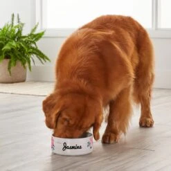 Frisco Personalized Rustic Ceramic Dog Bowl, 4.75-cup, 38oz -Blue Buffalo Shop 306764 PT4. AC SS1800 V1639518092