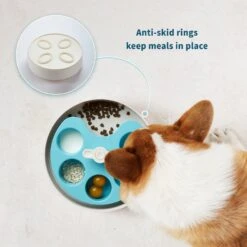 Pet Dream House SPIN Medium Level Palette Non-Skid Plastic Interactive Slow Feeder Dog Bowl, Blue 13 Pet Dream House SPIN Medium Level Palette Non-Skid Plastic Interactive Slow Feeder Dog Bowl, Blue -Blue Buffalo Shop 308746 PT4. AC SS1800 V1627681662