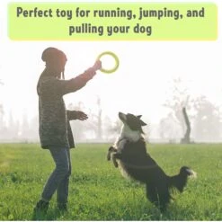 PetSpy Fitness Ring Dog Toy -Blue Buffalo Shop 309601 PT4. AC SS1800 V1624663053