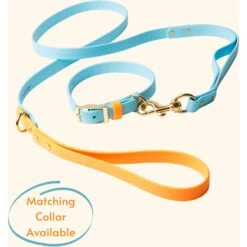 PawFurEver Waterproof Dog Leash -Blue Buffalo Shop 310267 PT3. AC SS1800 V1645051303