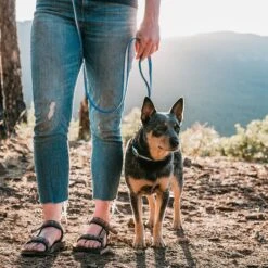 PawFurEver Waterproof Dog Leash -Blue Buffalo Shop 310267 PT6. AC SS1800 V1645051358