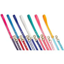 PawFurEver Waterproof Dog Leash -Blue Buffalo Shop 310267 PT7. AC SS1800 V1645055213