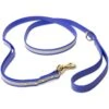 PawFurEver Reflective & Waterproof Dog Leash -Blue Buffalo Shop 310278 MAIN. AC SS1800 V1645056109