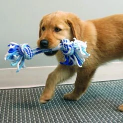 KONG Rope Ball Puppy Toy 9 KONG Rope Ball Puppy Toy -Blue Buffalo Shop 310286 PT2. AC SS1800 V1627594084