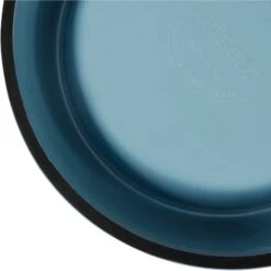 Frisco Coral Design Stainless Steel Dog & Cat Bowl -Blue Buffalo Shop 311972 PT6. AC SS1800 V1642543392