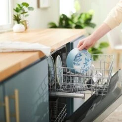 Frisco Coral Design Stainless Steel Dog & Cat Bowl -Blue Buffalo Shop 311972 PT7. AC SS1800 V1642543254