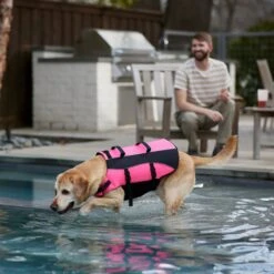 Frisco Ripstop Dog Life Jacket, Pink 19 Frisco Ripstop Dog Life Jacket, Pink -Blue Buffalo Shop 312380 PT8. AC SS1800 V1649275938