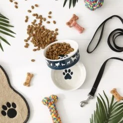 Bone Dry Show Set Dog Bowl -Blue Buffalo Shop 313437 PT6. AC SS1800 V1631778084