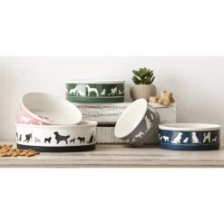 Bone Dry Show Set Dog Bowl -Blue Buffalo Shop 313437 PT7. AC SS1800 V1631772791