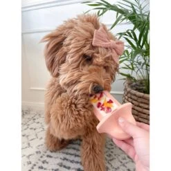 Diggs Groov Dog Crate Training Tool -Blue Buffalo Shop 313514 PT7. AC SS1800 V1627303017