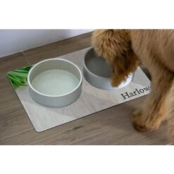 904 Custom Personalized Woodgrain Dog & Cat Placemat -Blue Buffalo Shop 314053 PT1. AC SS1800 V1637018255