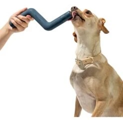Wild One Bolt Bite Dog Chew Toy 11 Wild One Bolt Bite Dog Chew Toy -Blue Buffalo Shop 314752 PT1. AC SS1800 V1626473177
