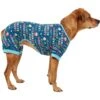 Frisco Celebration Dog & Cat PJs 1 Frisco Celebration Dog & Cat PJs -Blue Buffalo Shop 315105 MAIN. AC SS1800 V1646442148