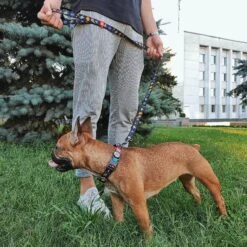 WAUDOG NASA Nylon Standard Dog Leash 10 WAUDOG NASA Nylon Standard Dog Leash -Blue Buffalo Shop 315181 PT3. AC SS1800 V1628185284