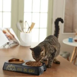 STAR WARS Melamine Stainless Steel Double Dog & Cat Bowl -Blue Buffalo Shop 315271 PT3. AC SS1800 V1647282855