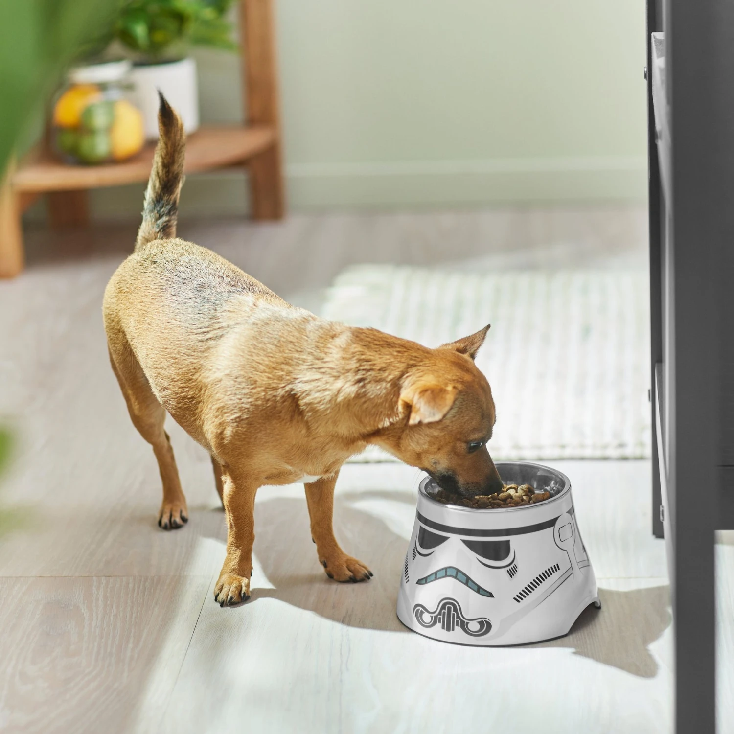 STAR WARS STORMTROOPER Melamine Elevated Stainless Steel Dog & Cat Bowl, 1.5 Cup 5 STAR WARS STORMTROOPER Melamine Elevated Stainless Steel Dog & Cat Bowl, 1.5 Cup - Image 3