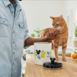 Disney Mickey Mouse Lemon Melamine Dog & Cat Treat Jar 11 Disney Mickey Mouse Lemon Melamine Dog & Cat Treat Jar -Blue Buffalo Shop 315302 PT3. AC SS1800 V1647283698