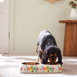 Disney Minnie Mouse Summer Bamboo Melamine Stainless Steel Double Dog & Cat Bowl 12 Disney Minnie Mouse Summer Bamboo Melamine Stainless Steel Double Dog & Cat Bowl -Blue Buffalo Shop 315343 PT2. AC SS1800 V1647283653