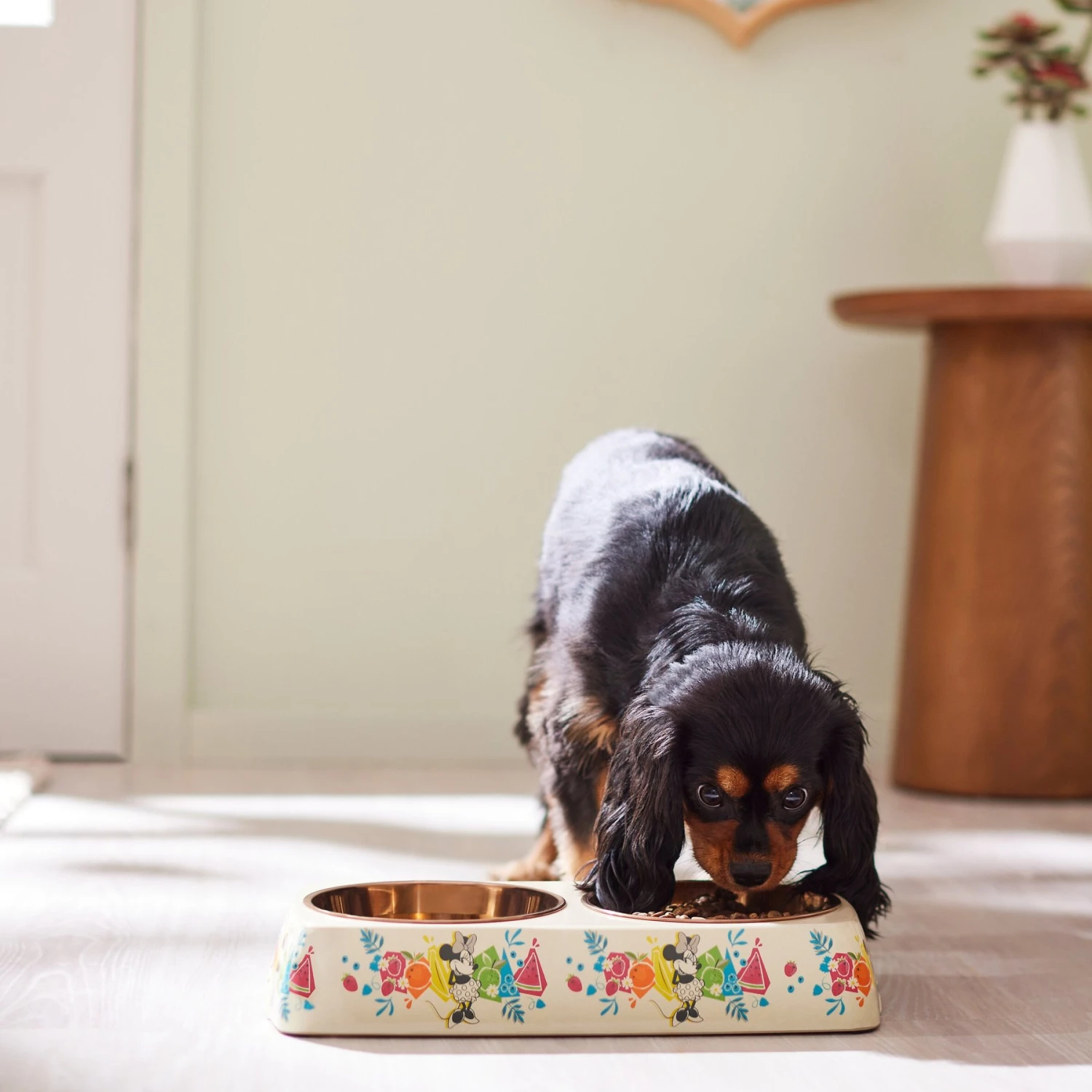 Disney Minnie Mouse Summer Bamboo Melamine Stainless Steel Double Dog & Cat Bowl 5 Disney Minnie Mouse Summer Bamboo Melamine Stainless Steel Double Dog & Cat Bowl - Image 3