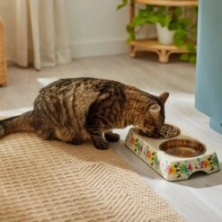 Disney Minnie Mouse Summer Bamboo Melamine Stainless Steel Double Dog & Cat Bowl 13 Disney Minnie Mouse Summer Bamboo Melamine Stainless Steel Double Dog & Cat Bowl -Blue Buffalo Shop 315343 PT3. AC SS1800 V1647282052