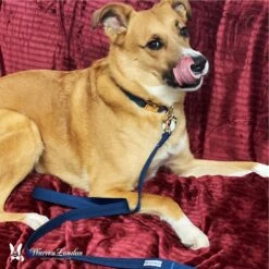 Warren London Fabric Dog Leash, 5-ft -Blue Buffalo Shop 316247 PT3. AC SS1800 V1627309949