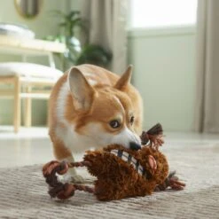 STAR WARS CHEWBACCA Plush With Rope Squeaky Dog Toy 7 STAR WARS CHEWBACCA Plush With Rope Squeaky Dog Toy -Blue Buffalo Shop 316372 PT3. AC SS1800 V1645205840