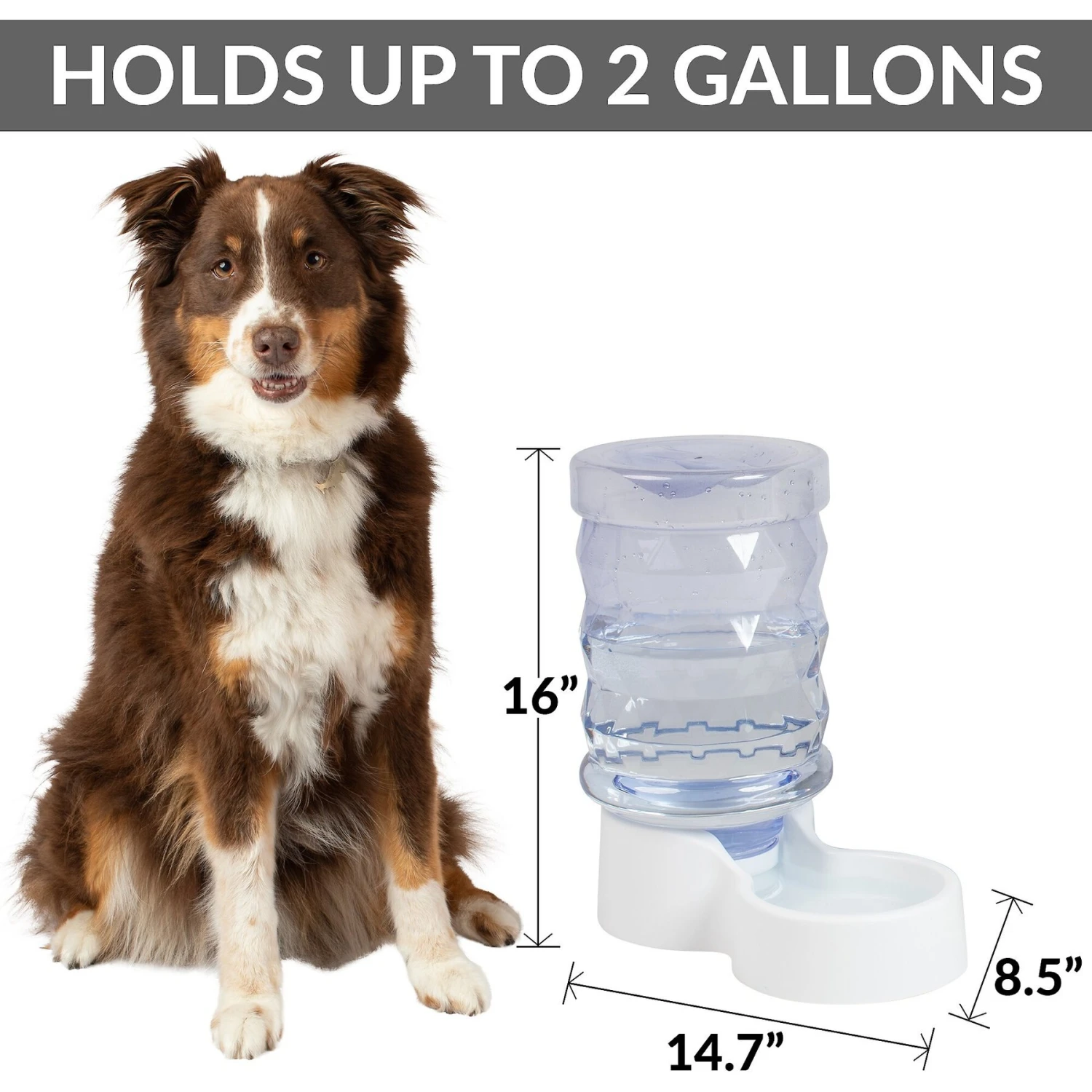 PetFusion H2O Gravity Dog & Cat Waterer 4 PetFusion H2O Gravity Dog & Cat Waterer - Image 2