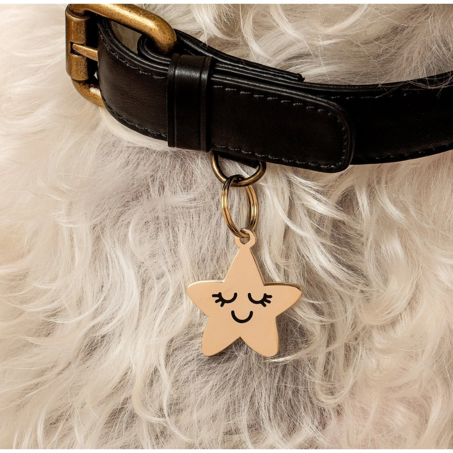Two Tails Pet Company Personalized Smiling Star Dog & Cat ID Tag 5 Two Tails Pet Company Personalized Smiling Star Dog & Cat ID Tag - Image 3