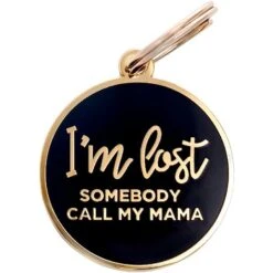 Two Tails Pet Company Personalized I'm Lost Dog & Cat ID Tag