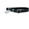 Euro-Dog Luxury Leather Martingale Dog Collar -Blue Buffalo Shop 318023 MAIN. AC SS1800 V1633567323