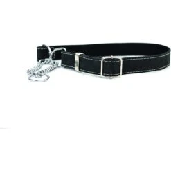 Euro-Dog Luxury Leather Martingale Dog Collar
