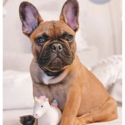 Rocket & Rex Oh My! Unicorn Stuffing-Free Squeaky Plush Dog Chew Toy Set, 3 Count -Blue Buffalo Shop 318049 PT2. AC SS1800 V1632180139