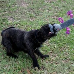 Rocket & Rex Oh My! Unicorn Stuffing-Free Squeaky Plush Dog Chew Toy Set, 3 Count -Blue Buffalo Shop 318049 PT5. AC SS1800 V1632178882