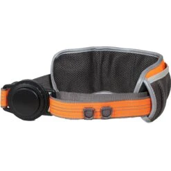 Penn-Plax Bungee Belt Combo Dog Leash, Orange/Black, Large -Blue Buffalo Shop 318184 PT6. AC SS1800 V1632890182