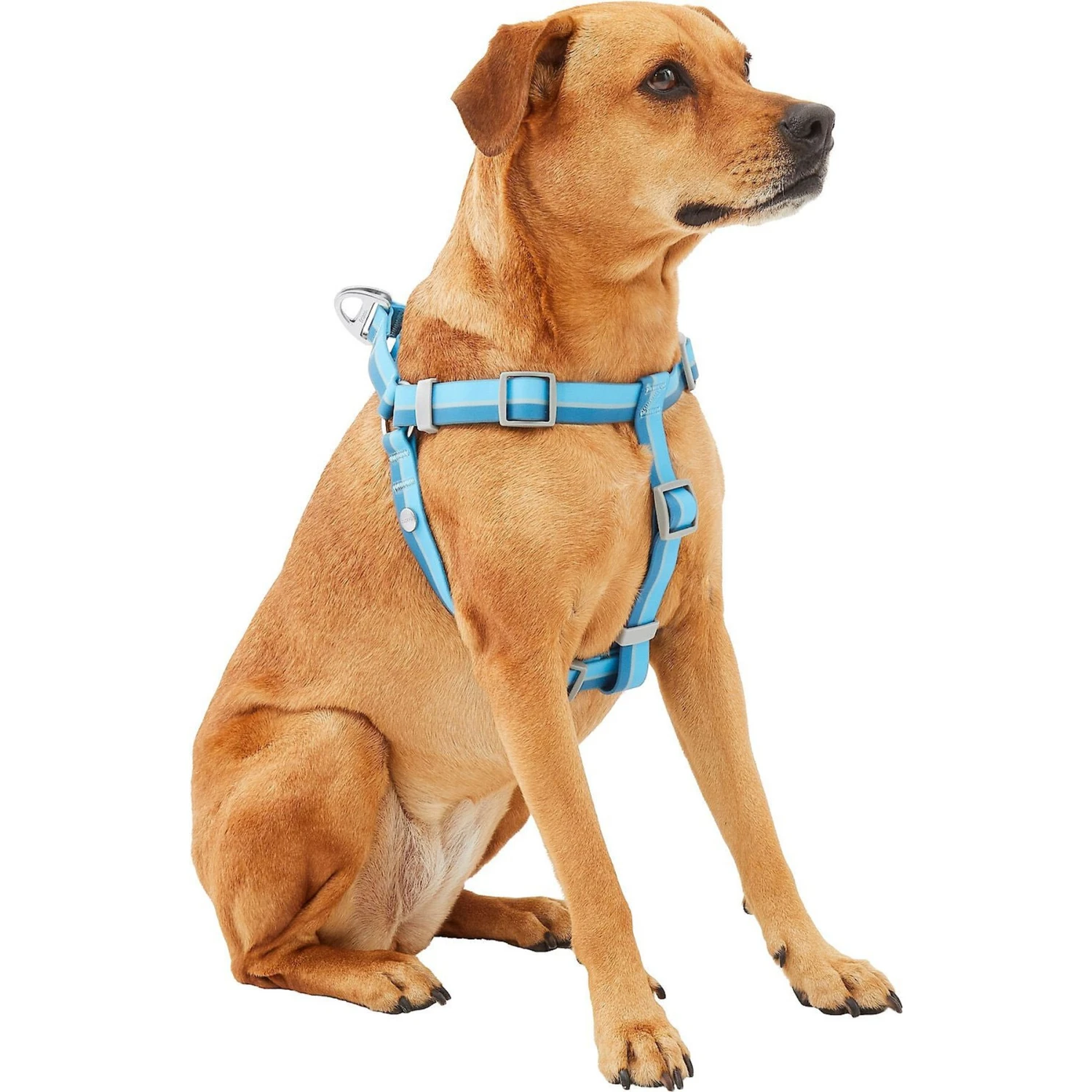 Frisco Outdoor Two Tone Waterproof Stinkproof PVC Dog Harness & Frisco Outdoor Two Tone Waterproof Stinkproof PVC Dog Harness 5 Frisco Outdoor Two Tone Waterproof Stinkproof PVC Dog Harness & Frisco Outdoor Two Tone Waterproof Stinkproof PVC Dog Harness - Image 3