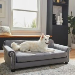 Frisco Sofa Pet Bed With Removable Cover & Frisco Eyelash Cat & Dog Blanket -Blue Buffalo Shop 319504 PT4. AC SS1800 V1630625195