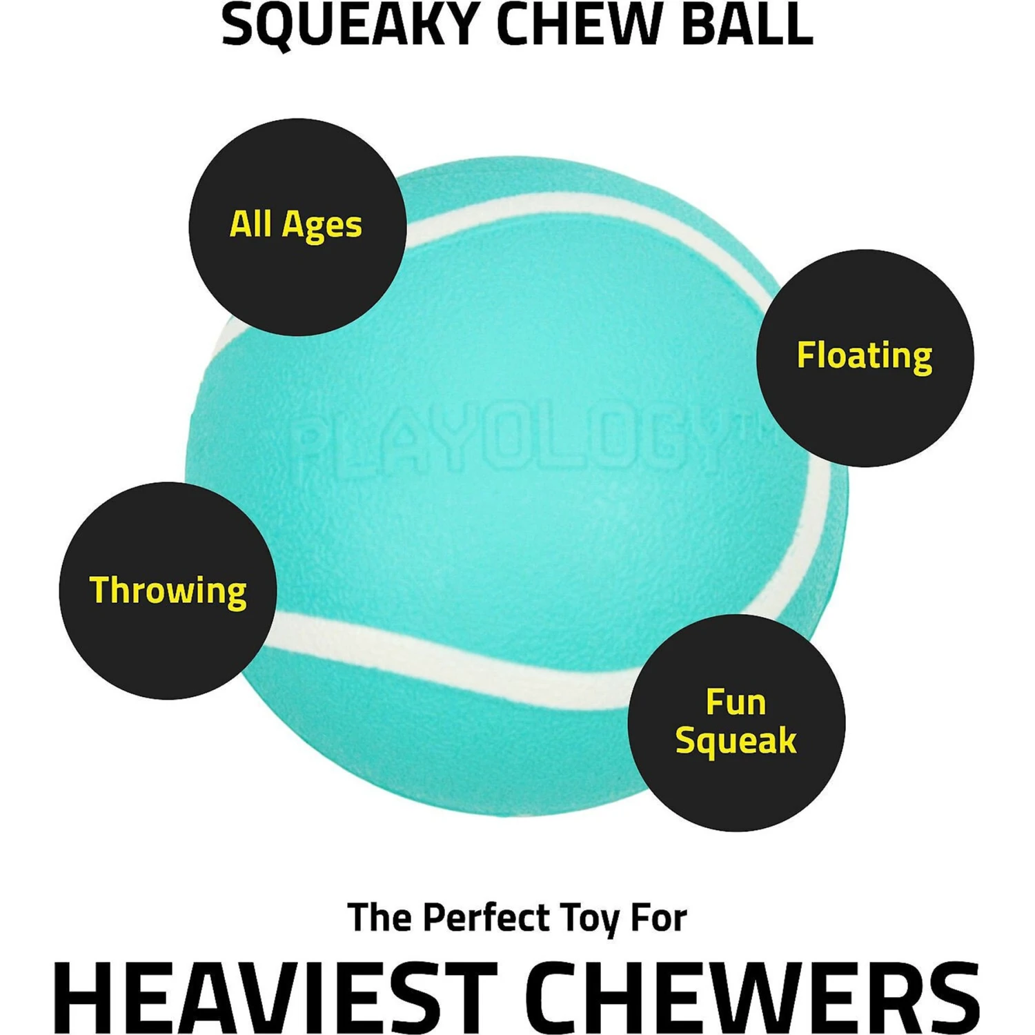 Playology Scented Squeaky Chew Ball Dog Toy & Playology Scented Squeaky Chew Ball Dog Toy 10 Playology Scented Squeaky Chew Ball Dog Toy & Playology Scented Squeaky Chew Ball Dog Toy - Image 8