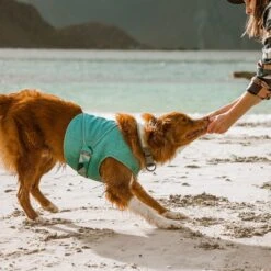 Hurtta Cooling Dog Wrap 10 Hurtta Cooling Dog Wrap -Blue Buffalo Shop 320021 PT3. AC SS1800 V1634838677