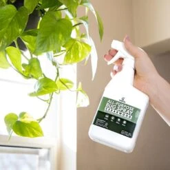 Cedarcide Cedarwood All-Purpose Dog & Cat Bug Spray 9 Cedarcide Cedarwood All-Purpose Dog & Cat Bug Spray -Blue Buffalo Shop 322601 PT5. AC SS1800 V1631769972