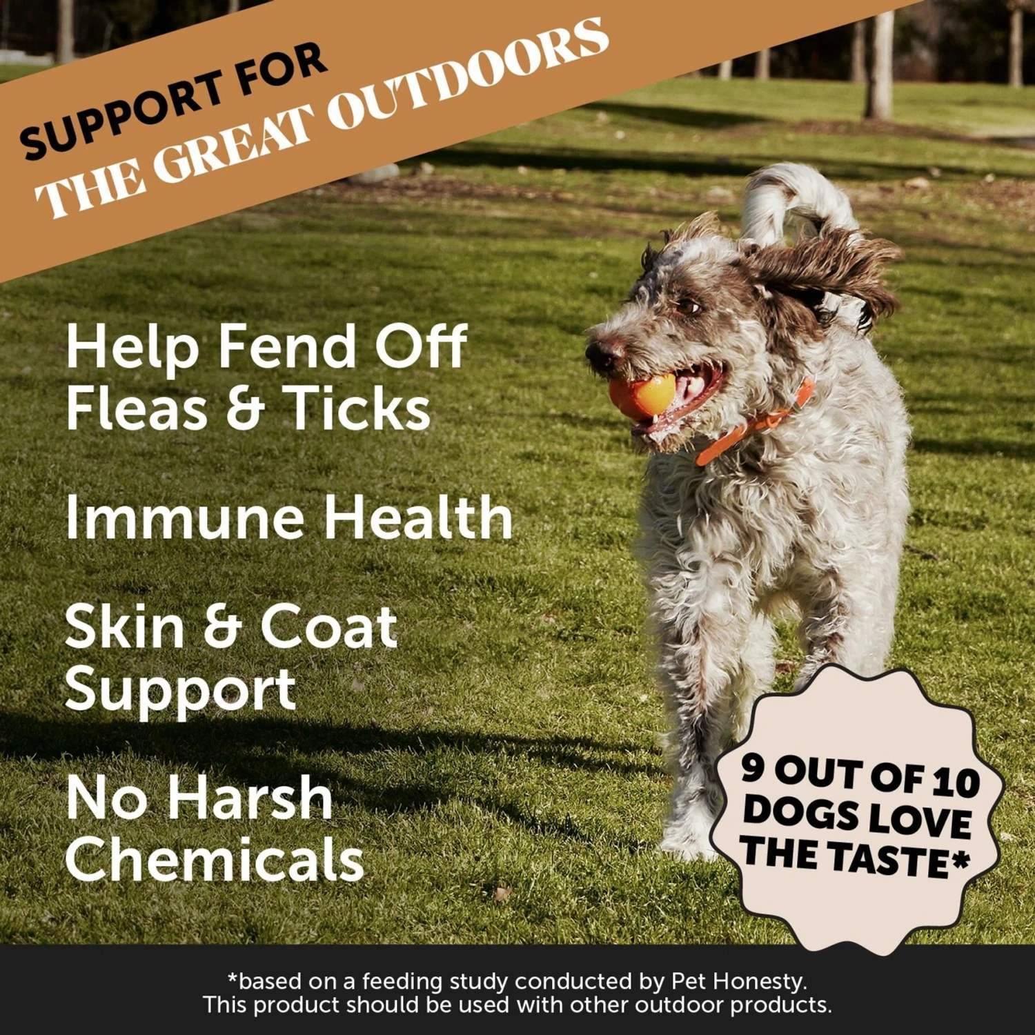 PetHonesty Flea & Tick Defense Hickory Bacon Flavor Soft Chew Flea & Tick Repellent Supplement For Dogs, 90 Count 4 PetHonesty Flea & Tick Defense Hickory Bacon Flavor Soft Chew Flea & Tick Repellent Supplement For Dogs, 90 Count - Image 2