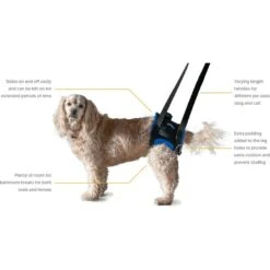 WALKABOUT Original Back End Harness, Black -Blue Buffalo Shop 325479 PT2. AC SS1800 V1687368163