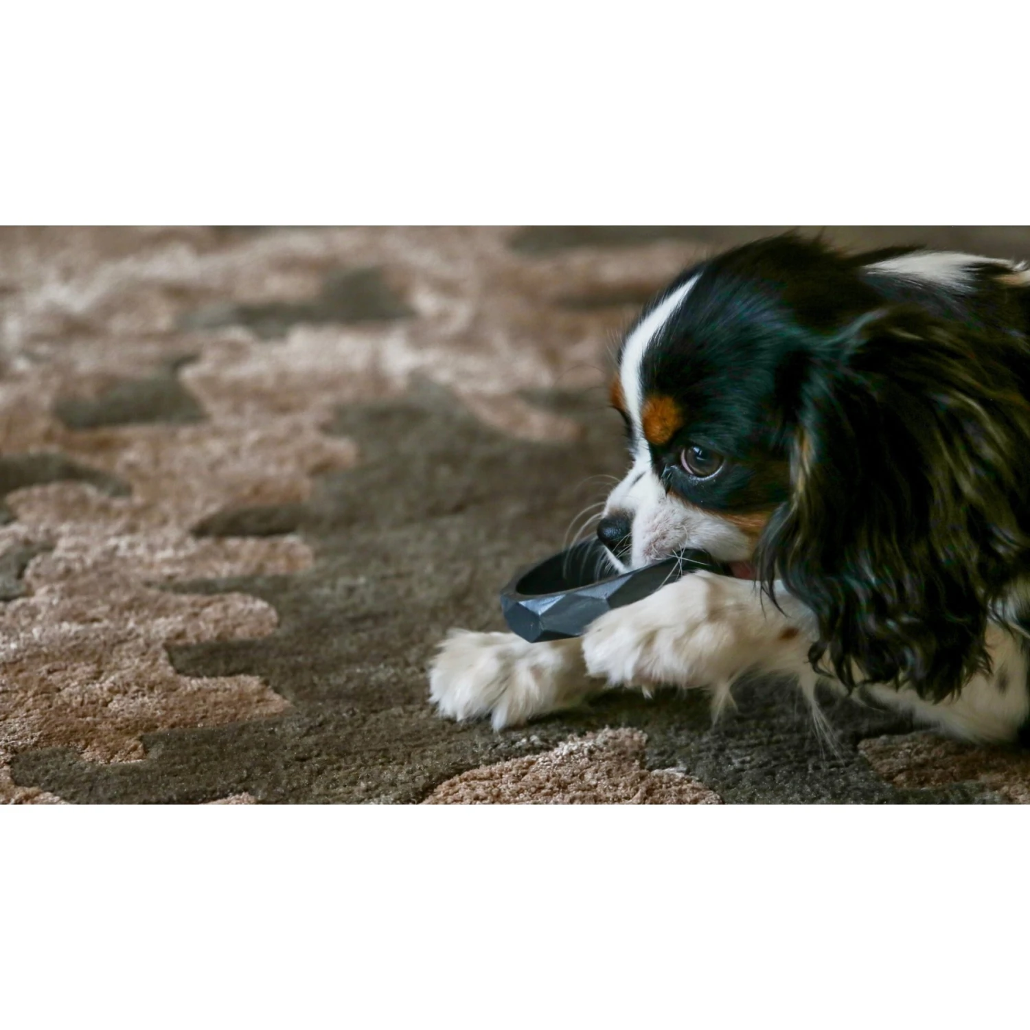 Sweet Paws Wearable Puppy Teether Stack Party Of 4 8 Sweet Paws Wearable Puppy Teether Stack Party Of 4 - Image 6